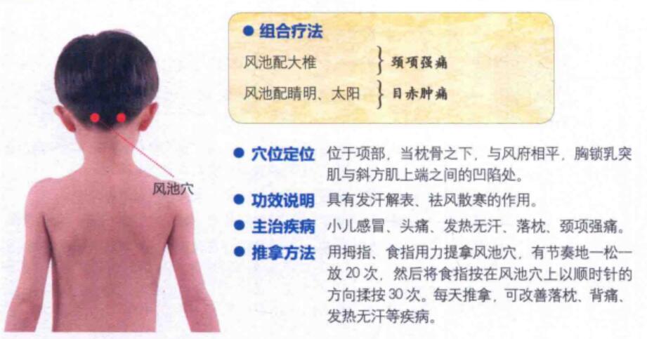 风池穴的准确位置图