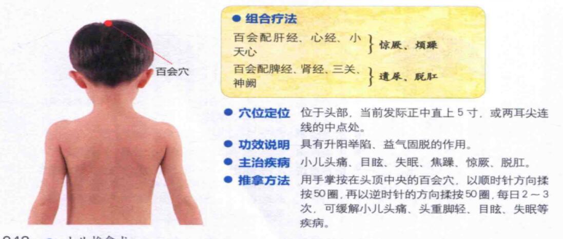 百会穴的准确位置图