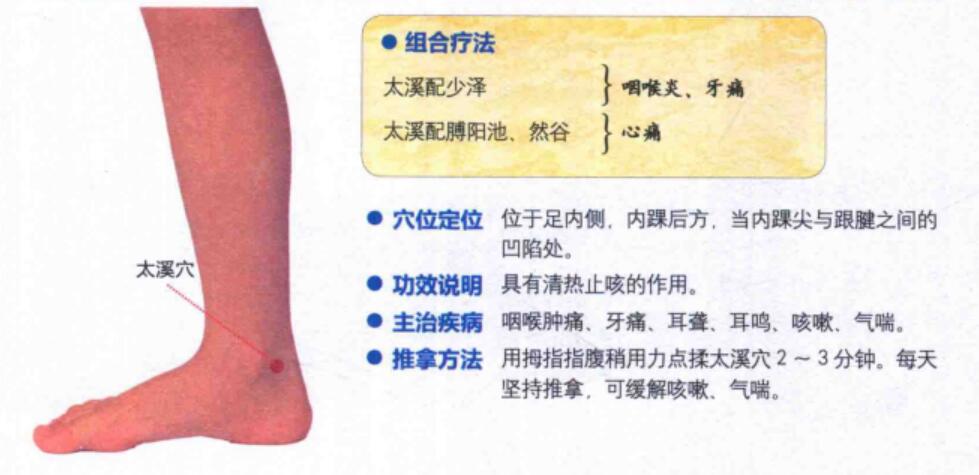 太溪穴的准确位置图