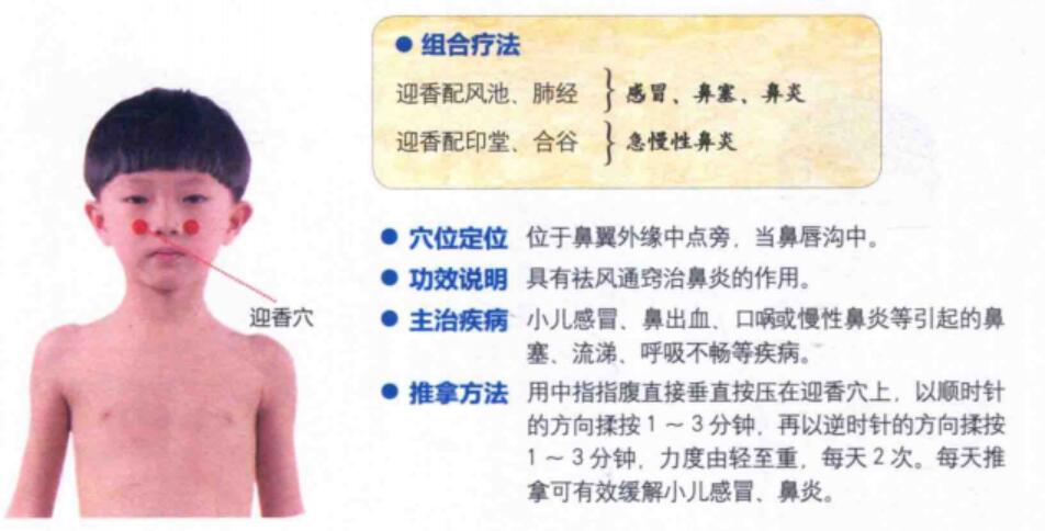 迎香穴的准确位置图