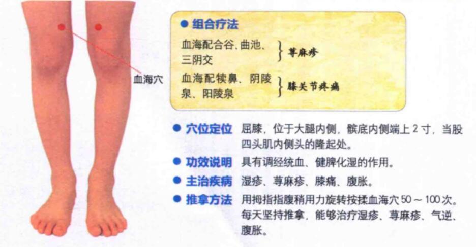 血海穴的准确位置图