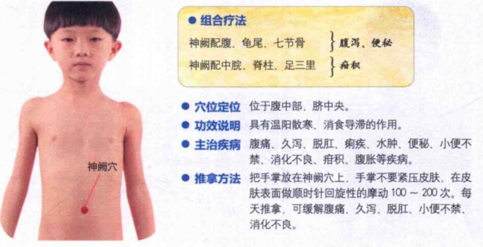 神阙穴的准确位置图