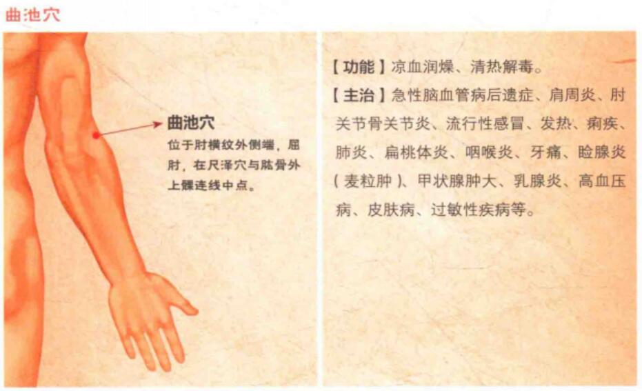 曲池穴的准确位置图