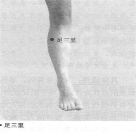 足三里的准确位置图片