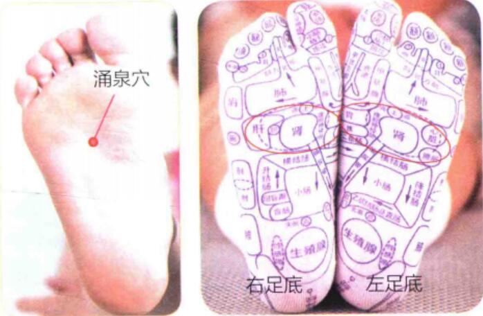 涌泉的准确位置图图解