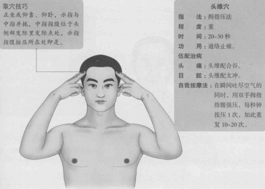 头维的准确位置图