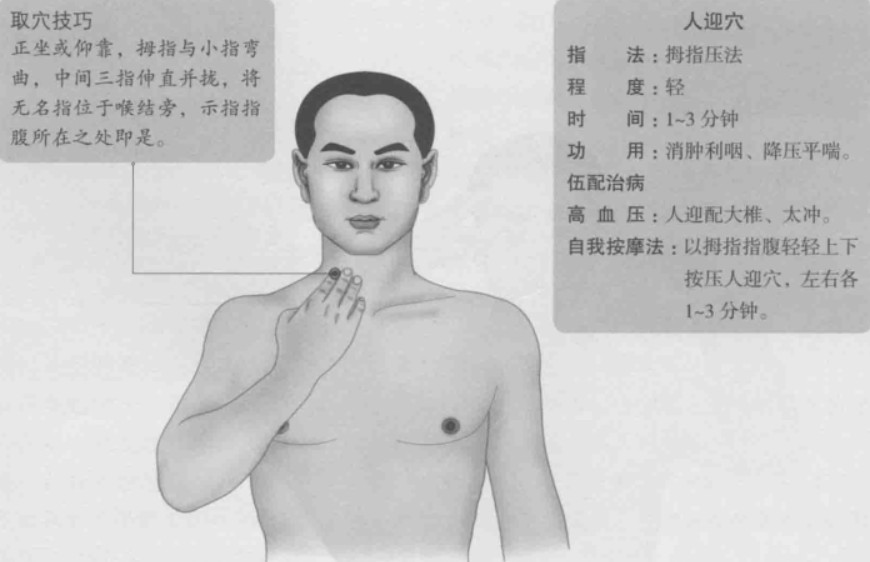 人迎的准确位置图