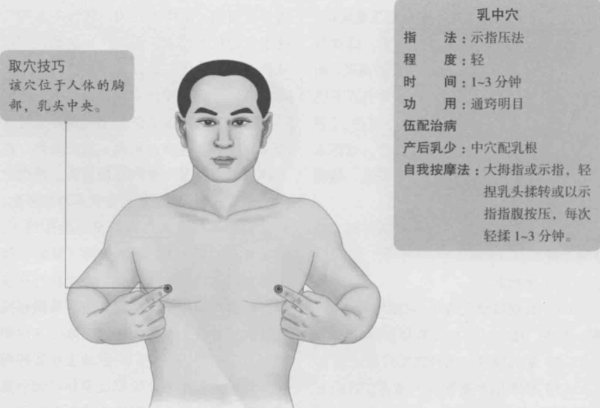 乳中的准确位置图