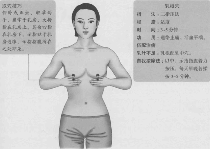 乳根的准确位置图