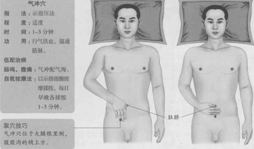 气冲的准确位置图