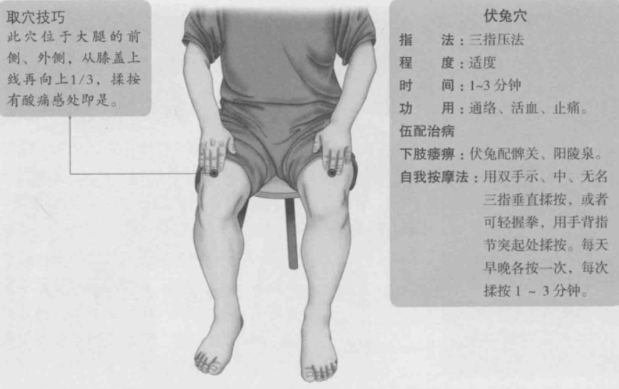 伏兔穴的功效与作用