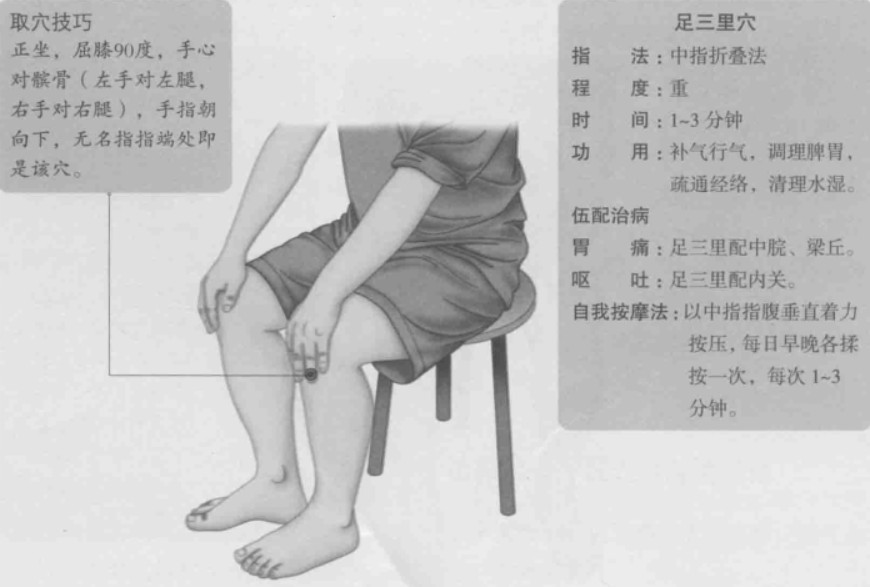 足三里的准确位置图