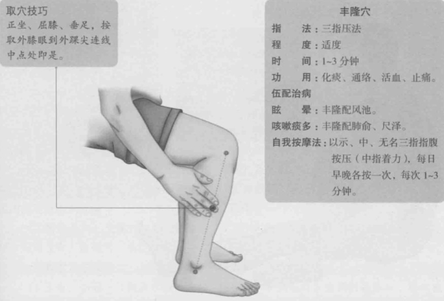 丰隆的准确位置图