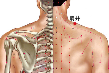 肩井的准确位置图