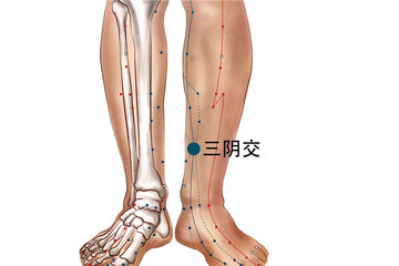 三阴交穴