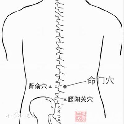 肾俞的准确位置图