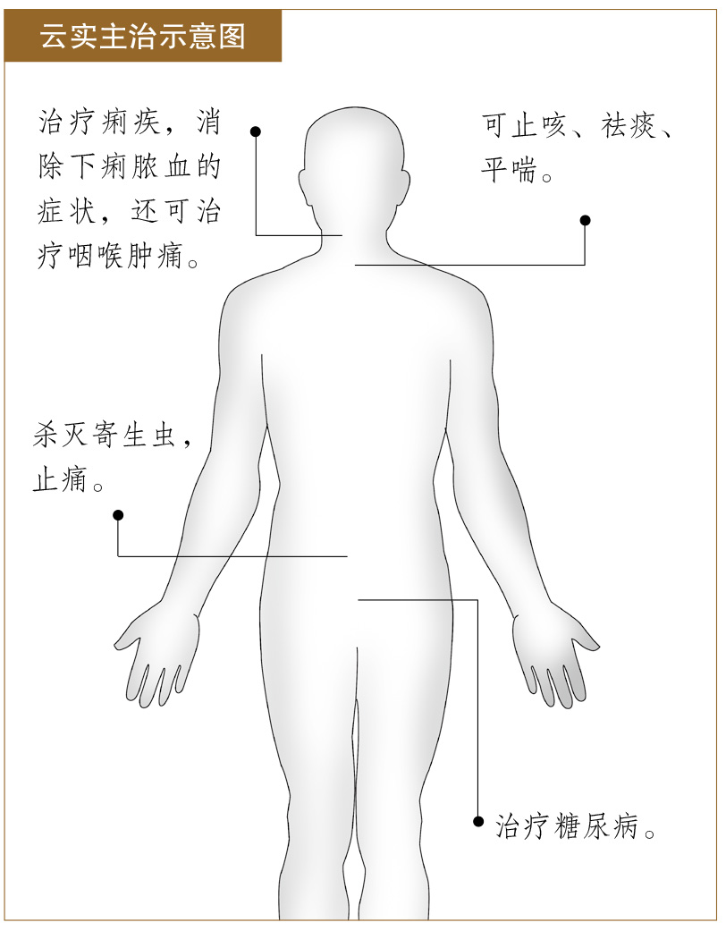 云实的功效与作用