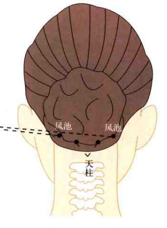 风池的准确位置图