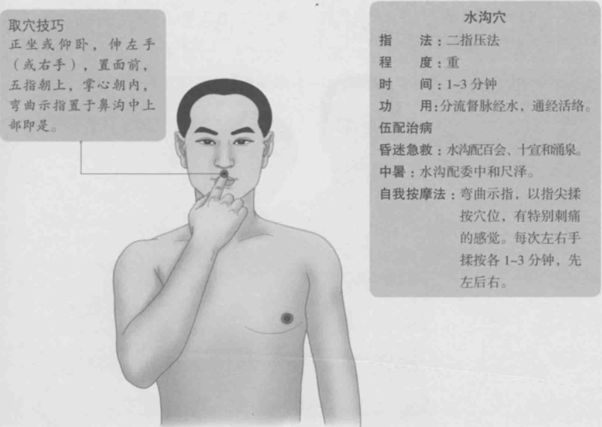 水沟（人中）的准确位置图