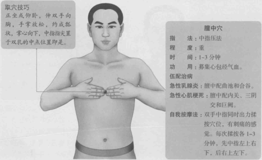 膻中的准确位置图