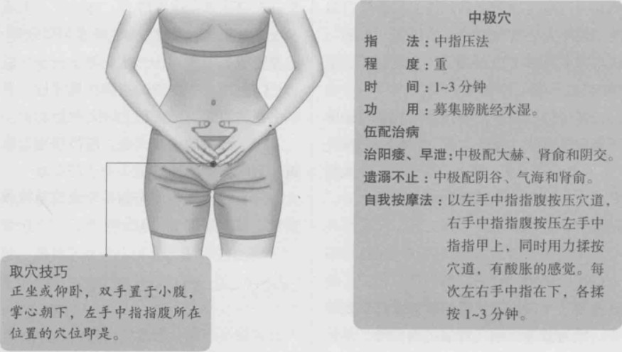 中极的准确位置图