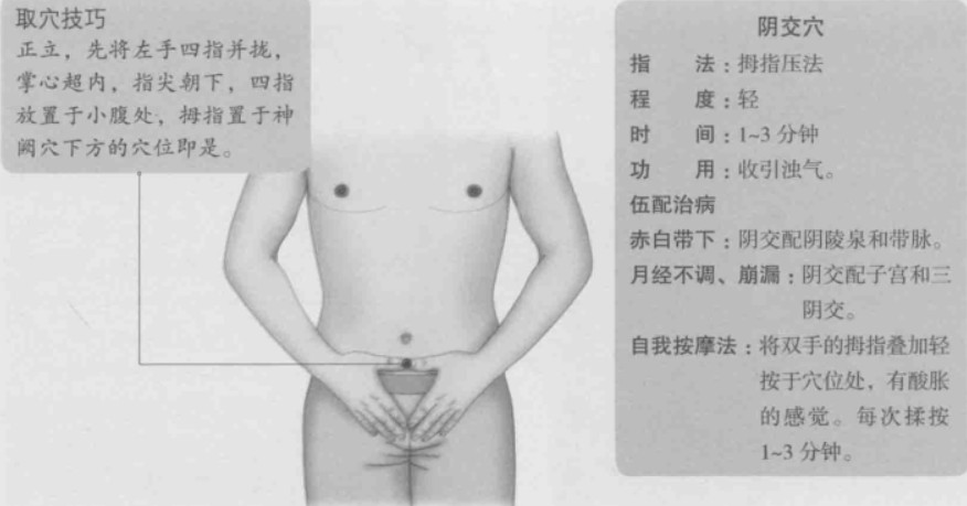 阴交的准确位置图