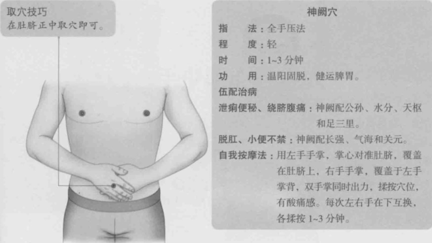 神阙的准确位置图