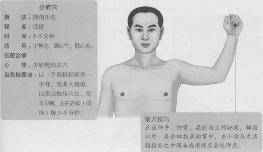 少府的准确位置图