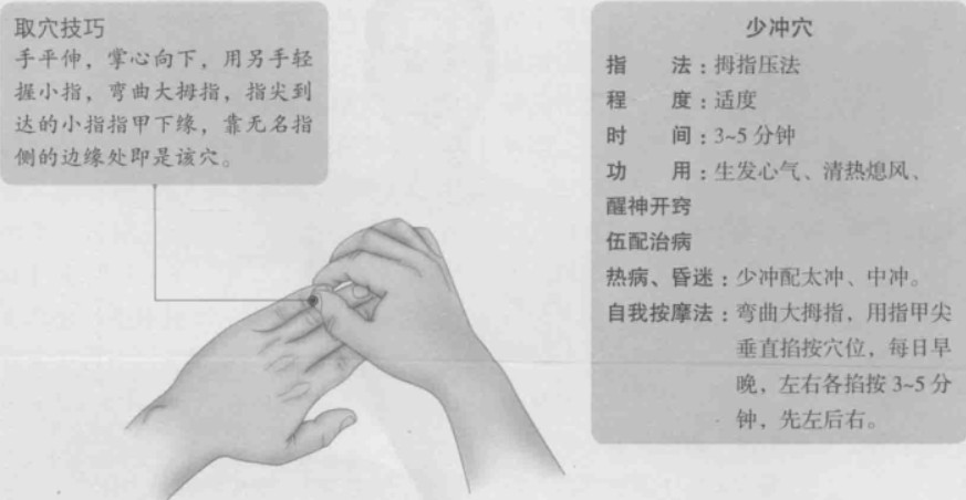 少冲的准确位置图