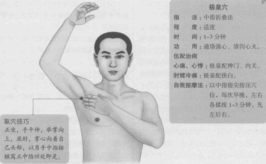 极泉的准确位置图