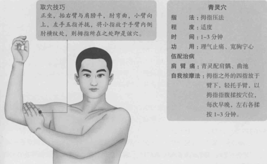 青灵的准确位置图