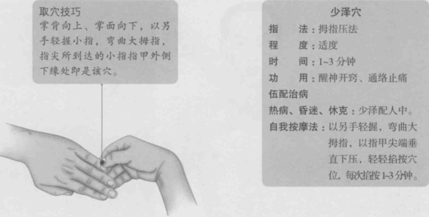 少泽的准确位置图