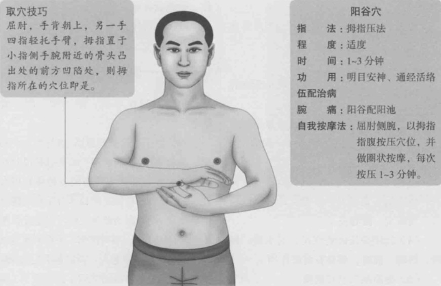 阳谷的准确位置图