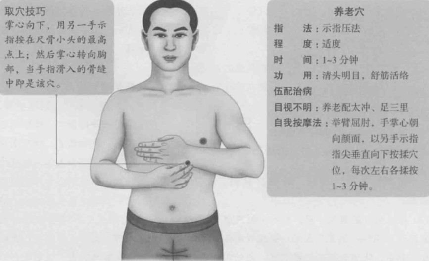 养老穴的准确位置图