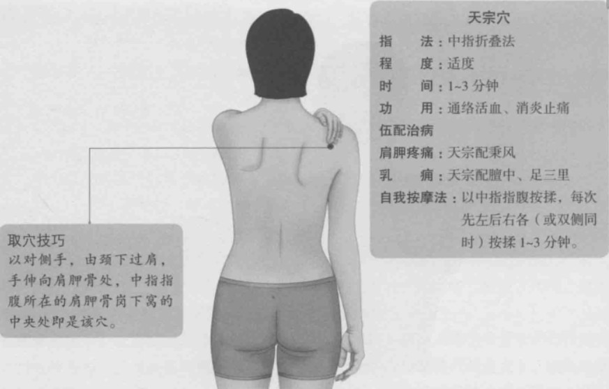 天宗的准确位置图