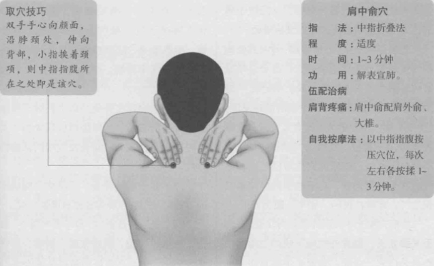 肩中俞的准确位置图