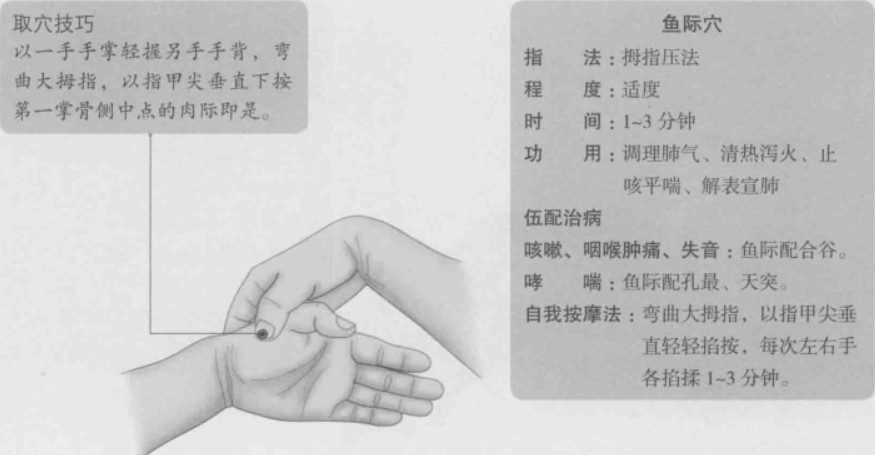 鱼际的准确位置图