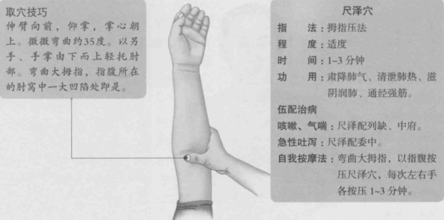 尺泽的准确位置图