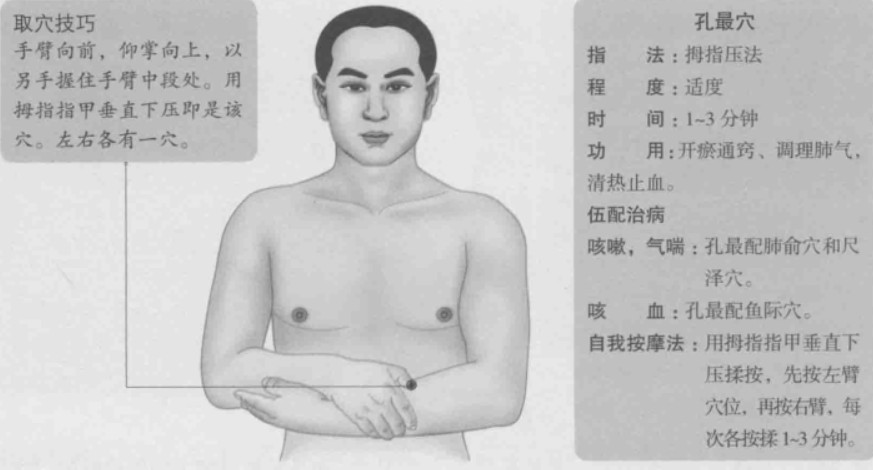 孔最穴的准确位置图