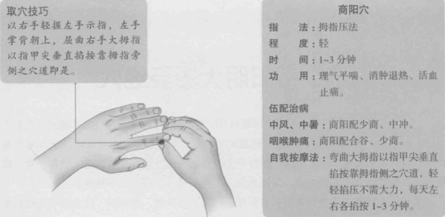 商阳的准确位置图