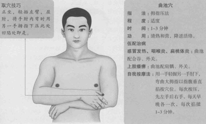 曲池的准确位置图