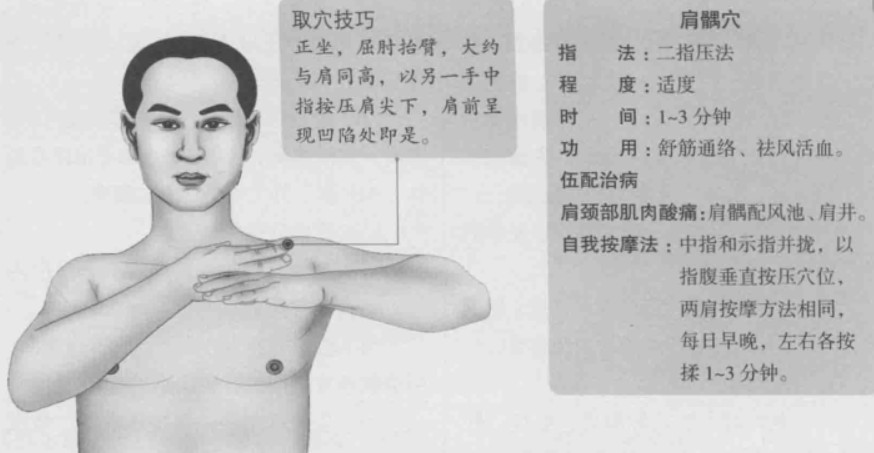 肩髃的准确位置图