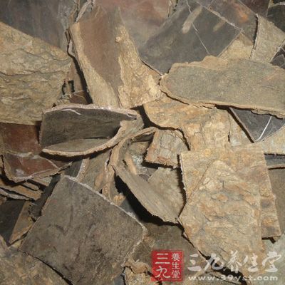 主腰脊痛、补中益精气、坚筋骨