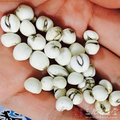 川贝母性凉，味甘、苦，功能止咳化痰