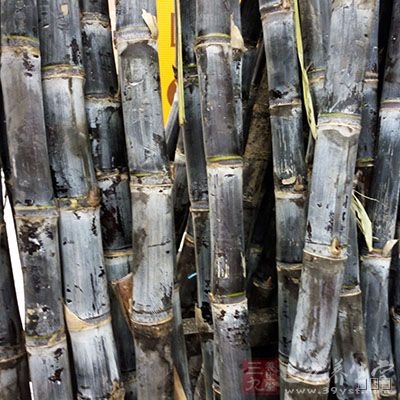 新鲜甘蔗汁200毫升