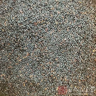 黑米煮粥治疗支气管哮喘