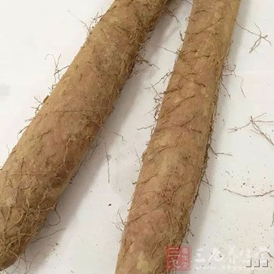 吃山药补充蛋白质