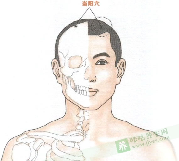 当阳穴位位置图