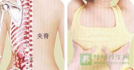 按摩夹脊穴的位置与功效