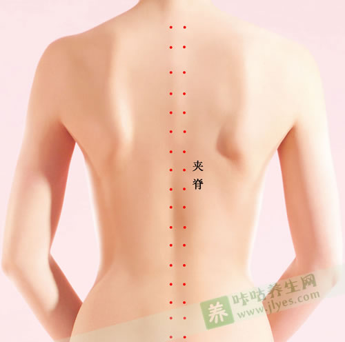 夹脊穴位准确位置图